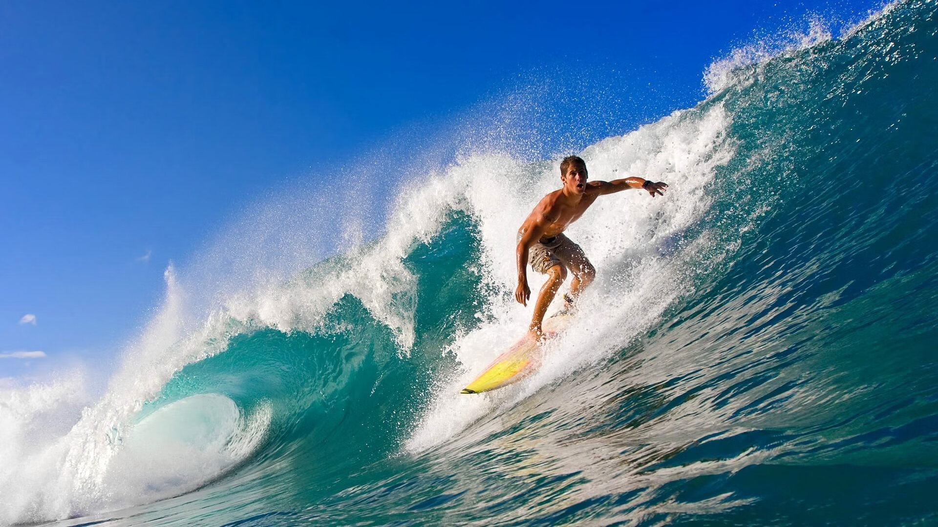 中国象形拳大赛 视频网络赛引发关注 民间高手纷纷上传演练作品